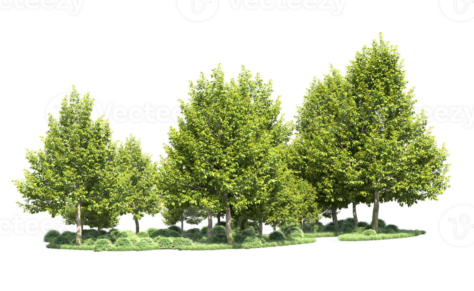 Green forest isolated on background. 3d rendering - illustration png