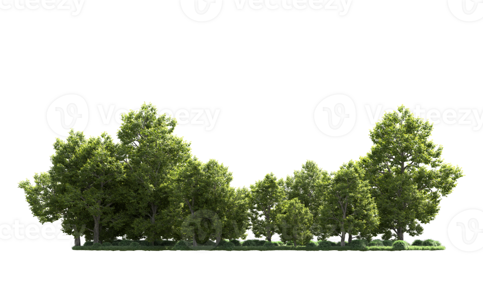 Green forest isolated on background. 3d rendering - illustration png