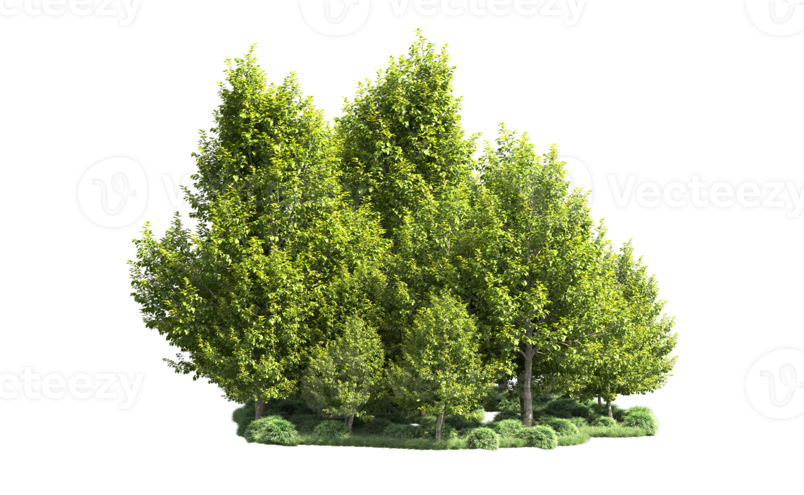 Green forest isolated on background. 3d rendering - illustration png