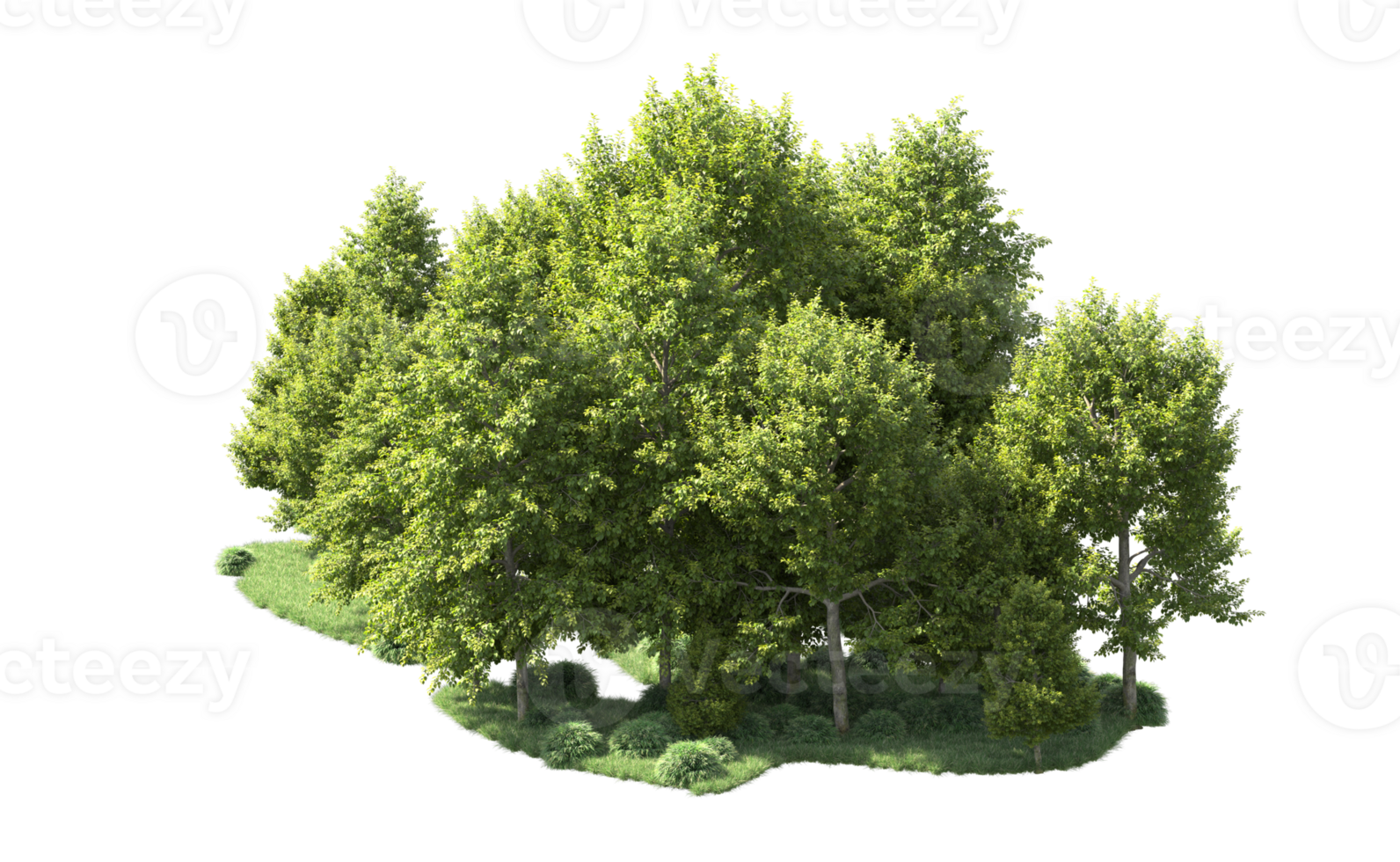 Green forest isolated on background. 3d rendering - illustration png