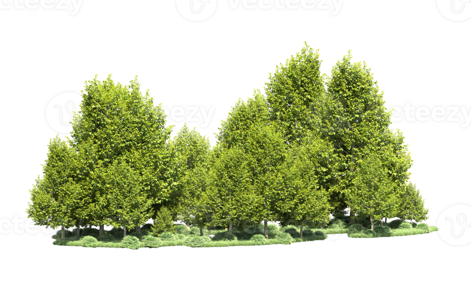 Green forest isolated on background. 3d rendering - illustration png