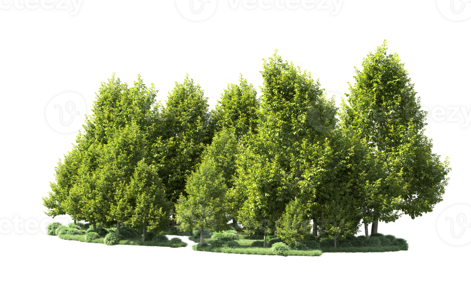 vert forêt isolé sur Contexte. 3d le rendu - illustration png