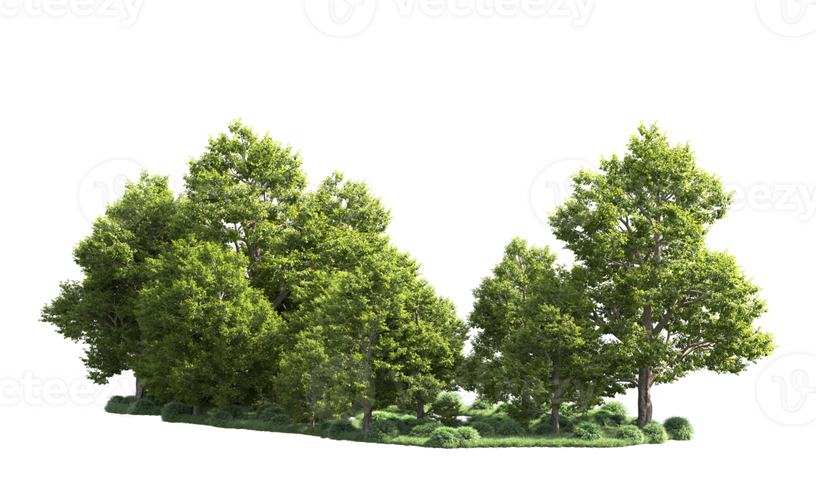 Green forest isolated on background. 3d rendering - illustration png