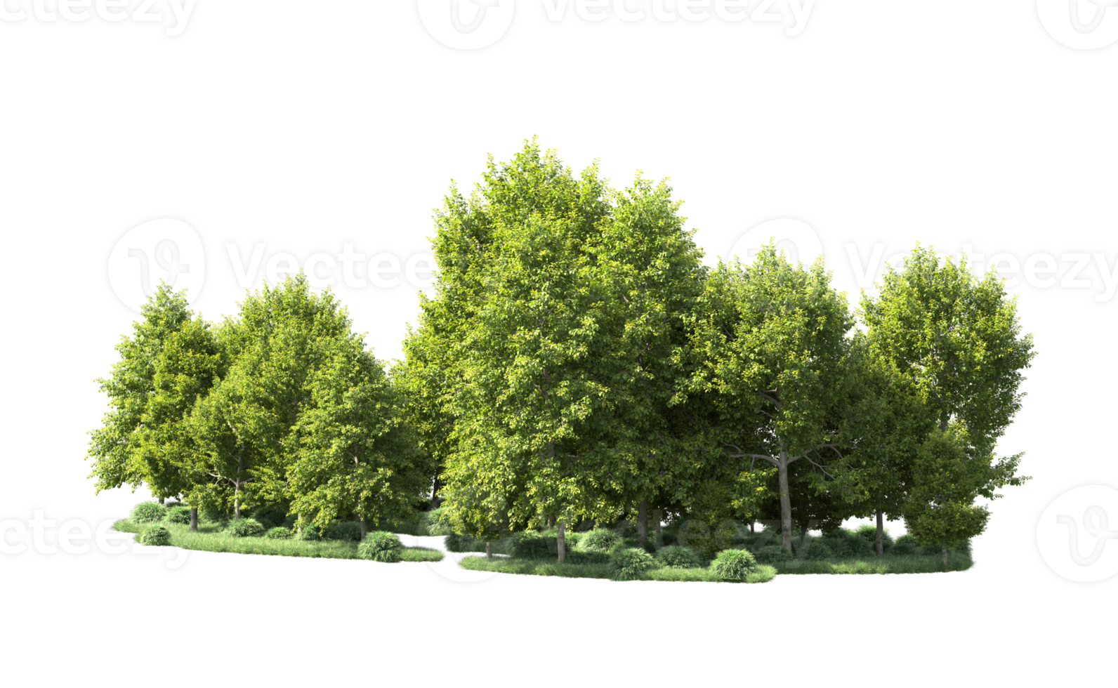 Green forest isolated on background. 3d rendering - illustration png