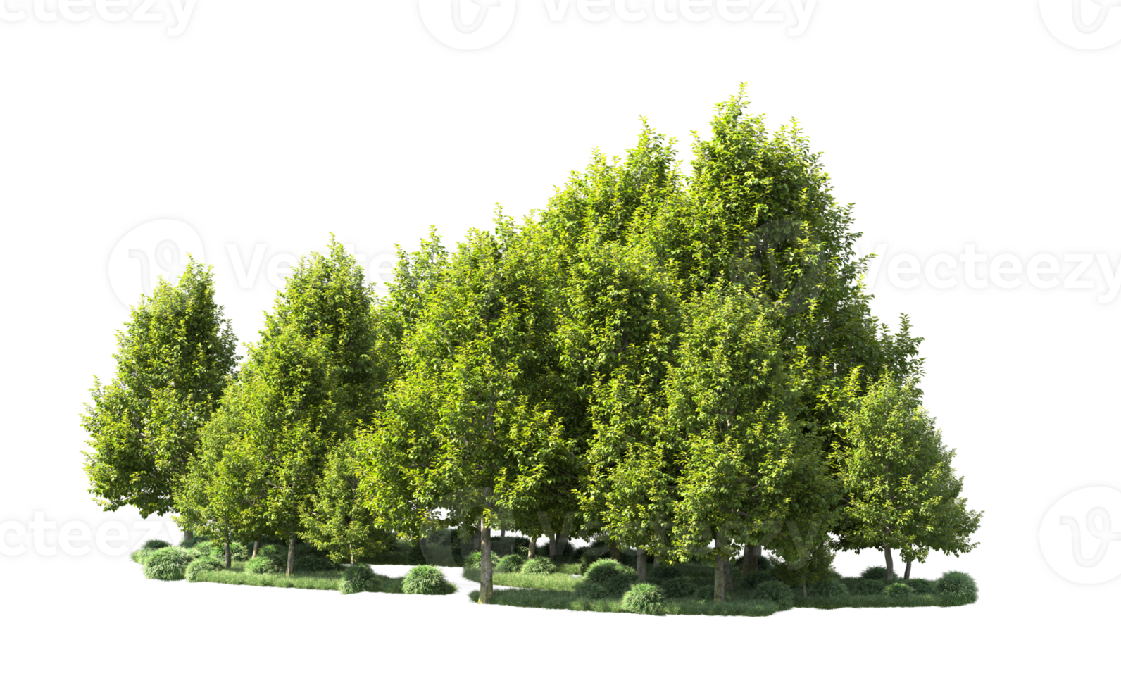Green forest isolated on background. 3d rendering - illustration png