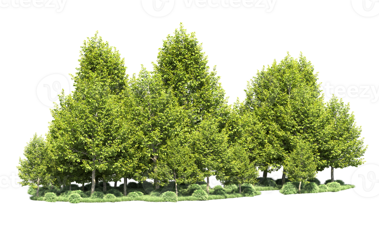 Green forest isolated on background. 3d rendering - illustration png