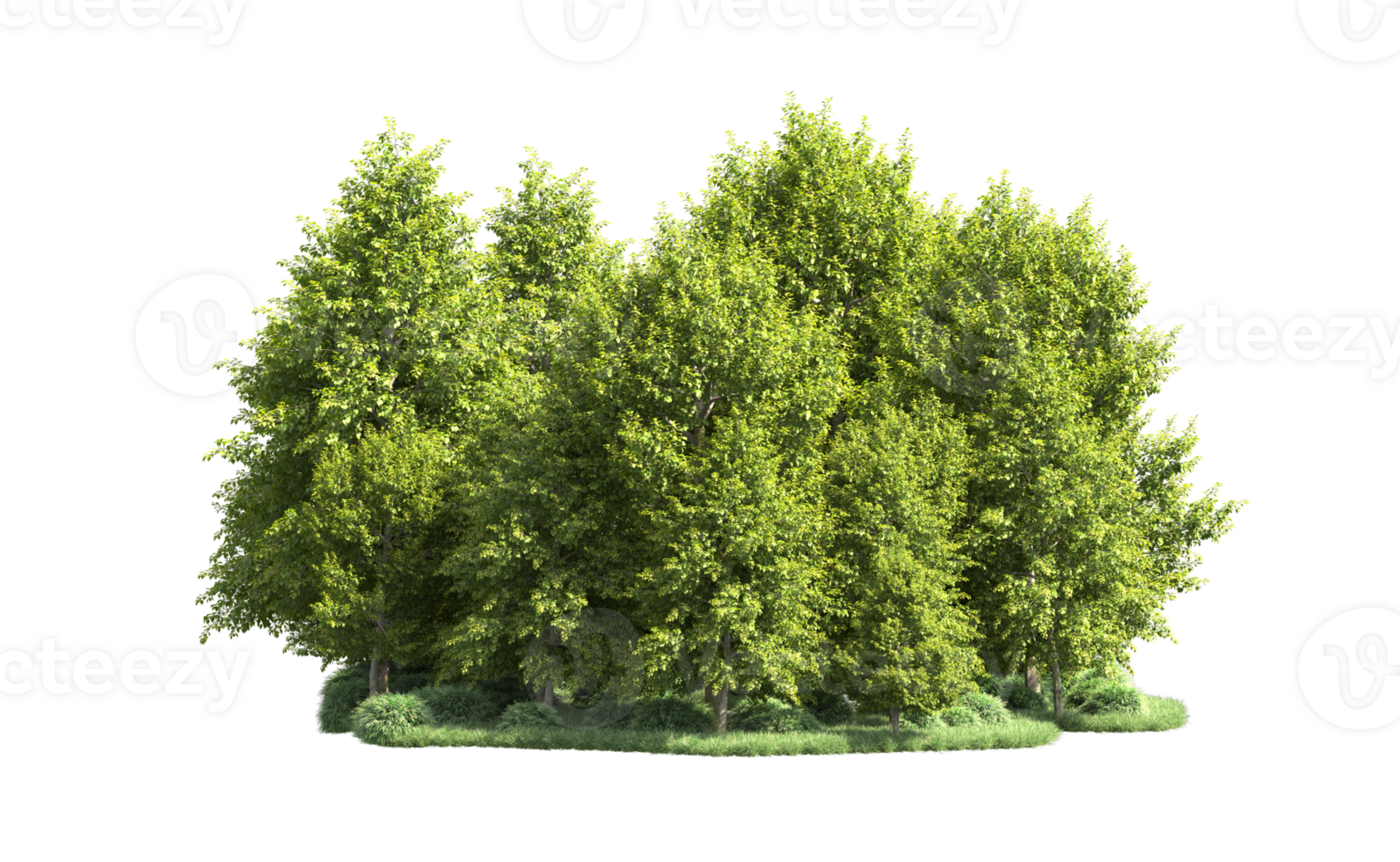 Green forest isolated on background. 3d rendering - illustration png