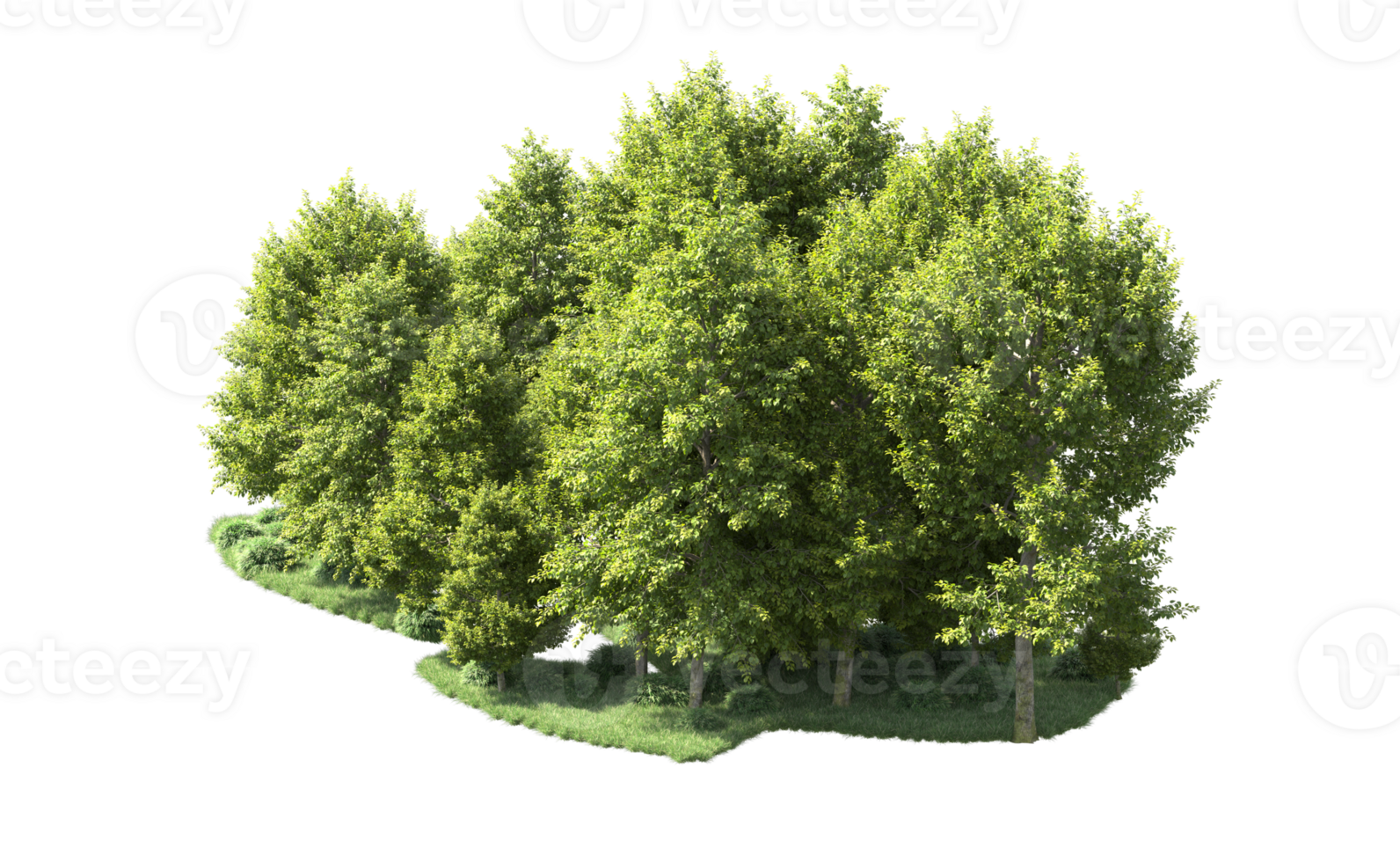 Green forest isolated on background. 3d rendering - illustration png