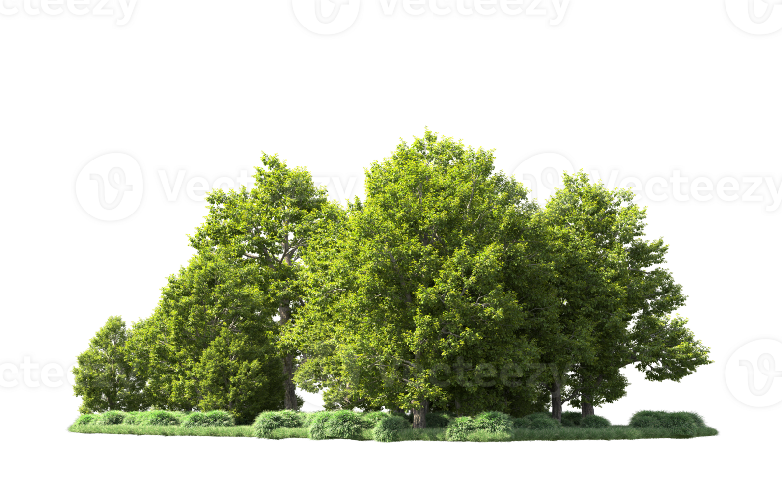 Green forest isolated on background. 3d rendering - illustration png