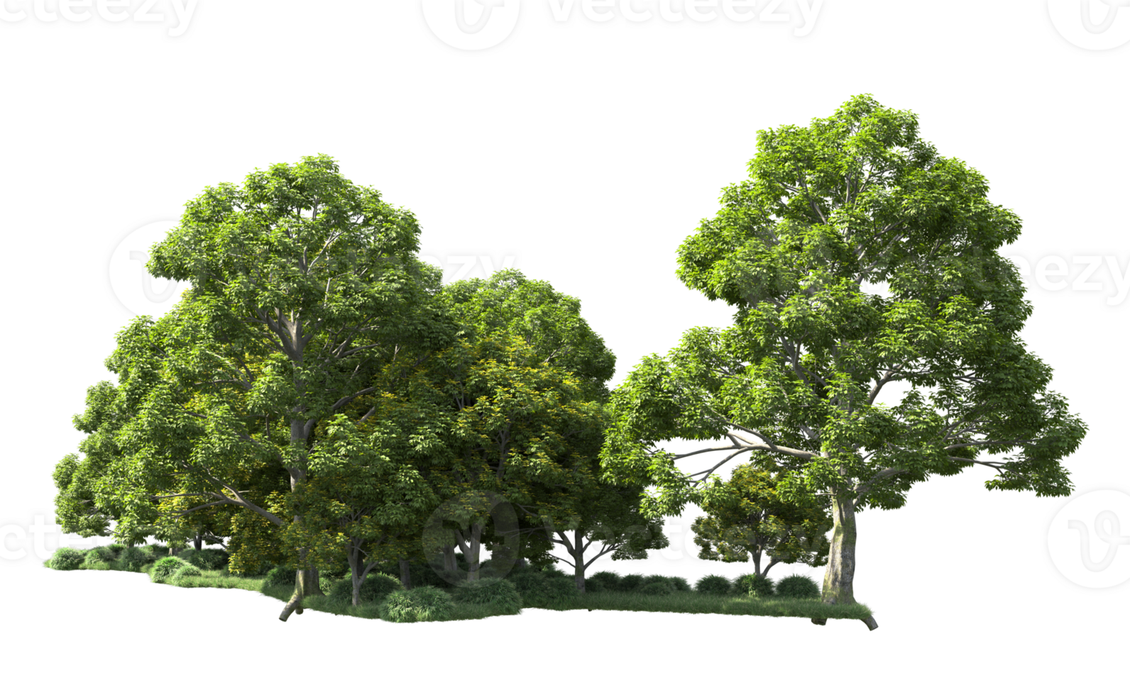 Green forest isolated on background. 3d rendering - illustration png