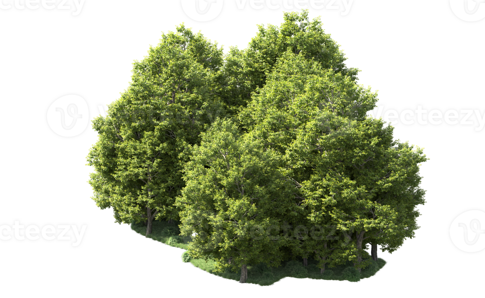 Green forest isolated on background. 3d rendering - illustration png
