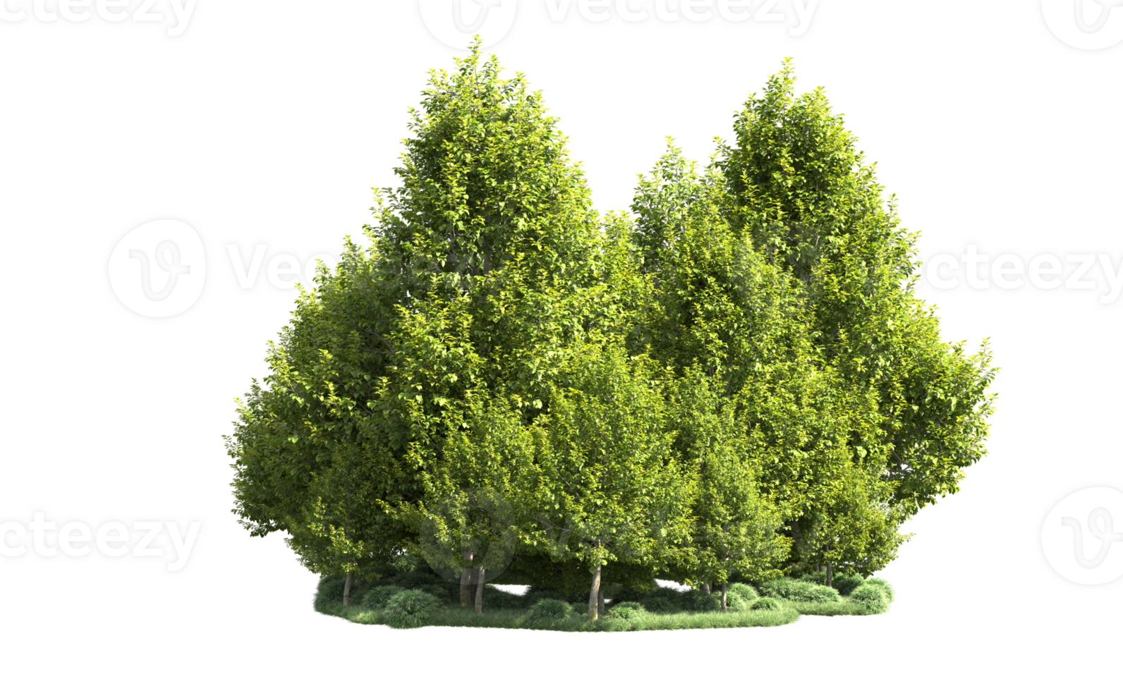 Green forest isolated on background. 3d rendering - illustration png