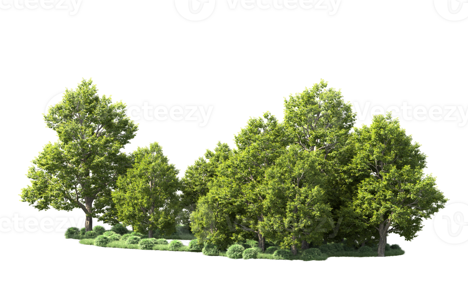 Green forest isolated on background. 3d rendering - illustration png