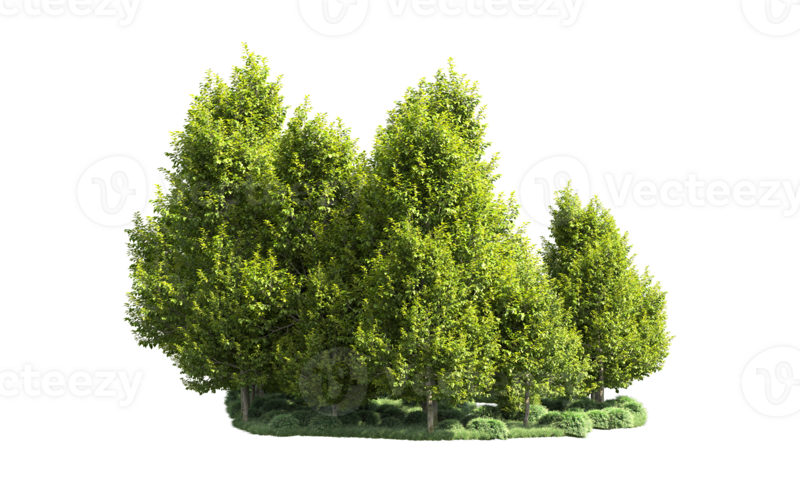 Green forest isolated on background. 3d rendering - illustration png