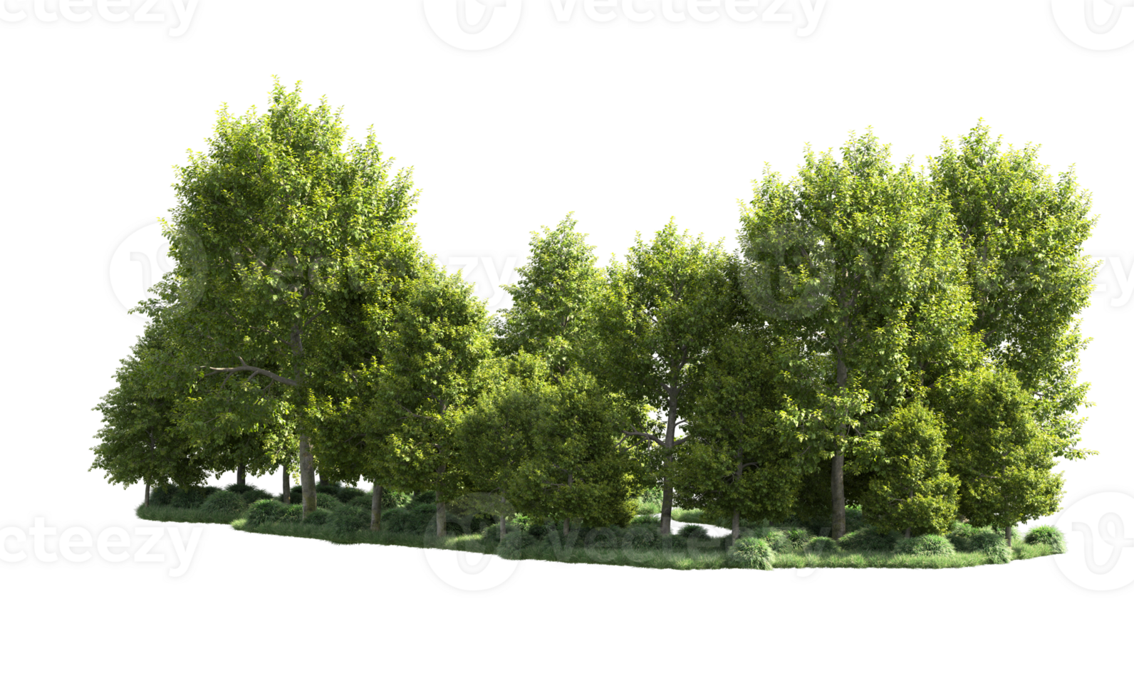Green forest isolated on background. 3d rendering - illustration png