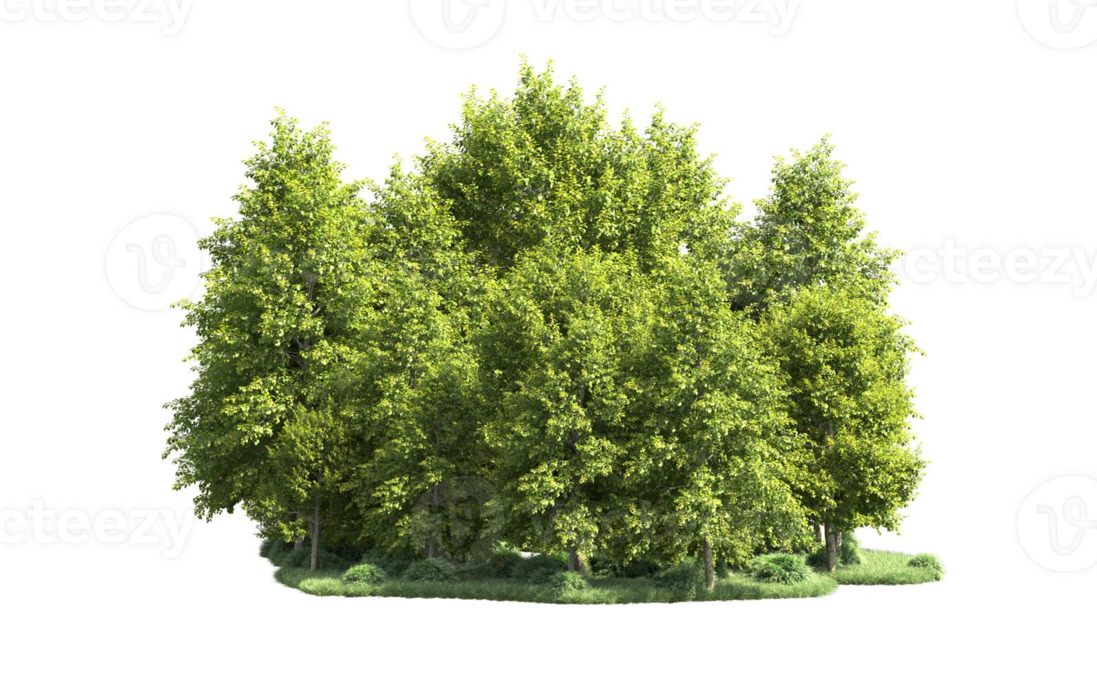 Green forest isolated on background. 3d rendering - illustration png