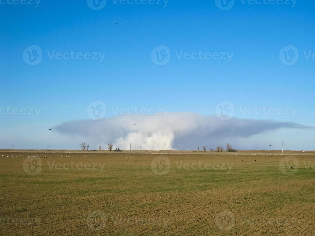 A pillar of smoke from burning rice straw on the field. photo