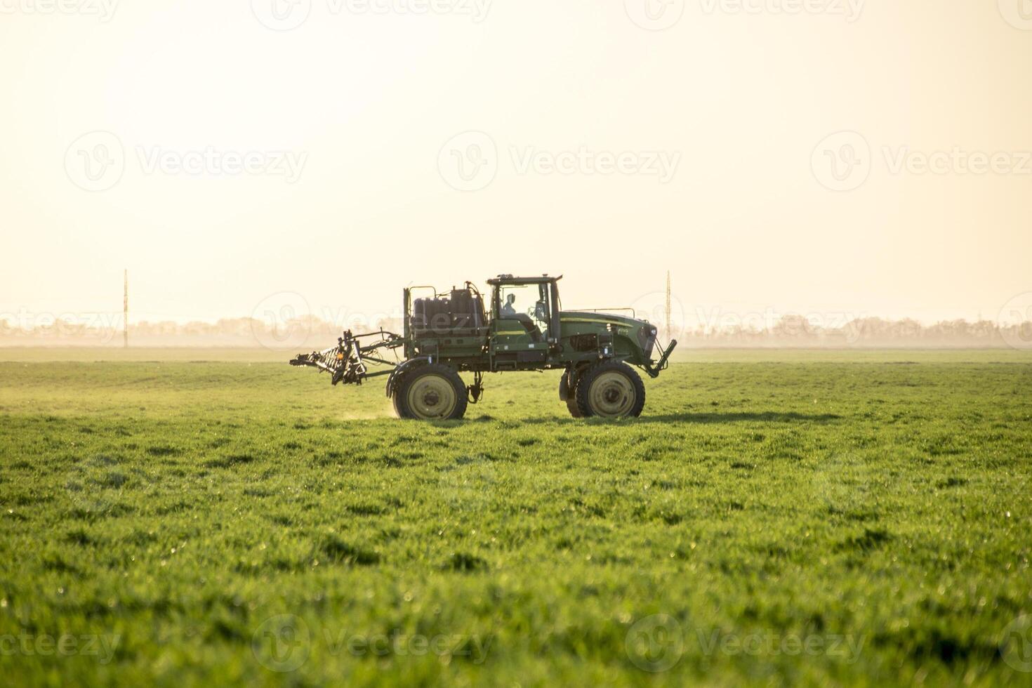 Tractor on the sunset background. Tractor with high wheels is making fertilizer on young wheat. The use of finely dispersed spray chemicals photo