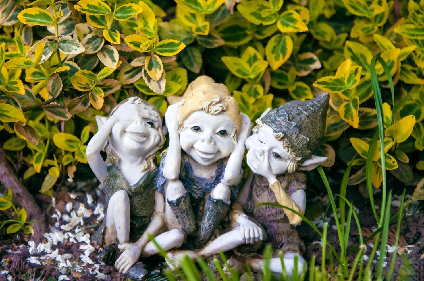 Statuette of elves not hearing not seeing not talking in the grass. photo