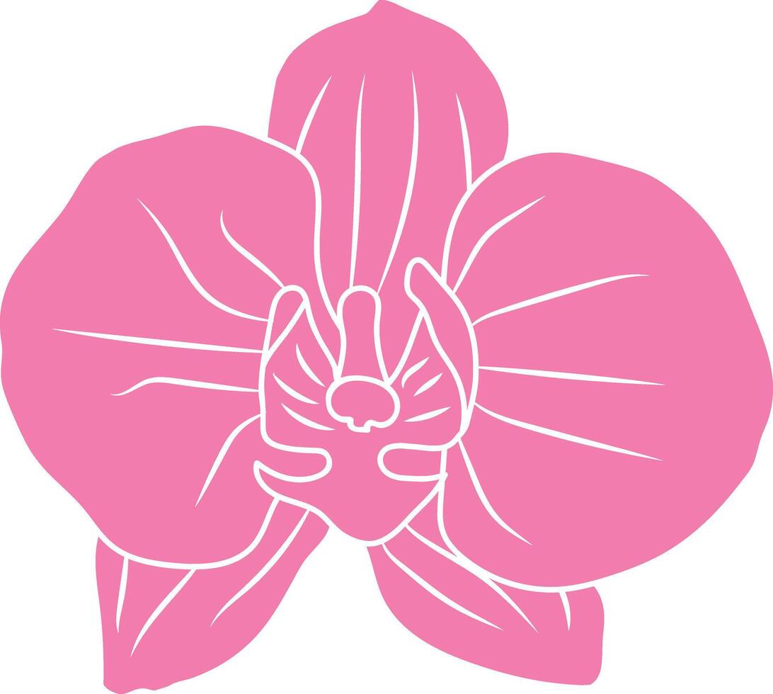 Orhid flower in a vector style isolated.