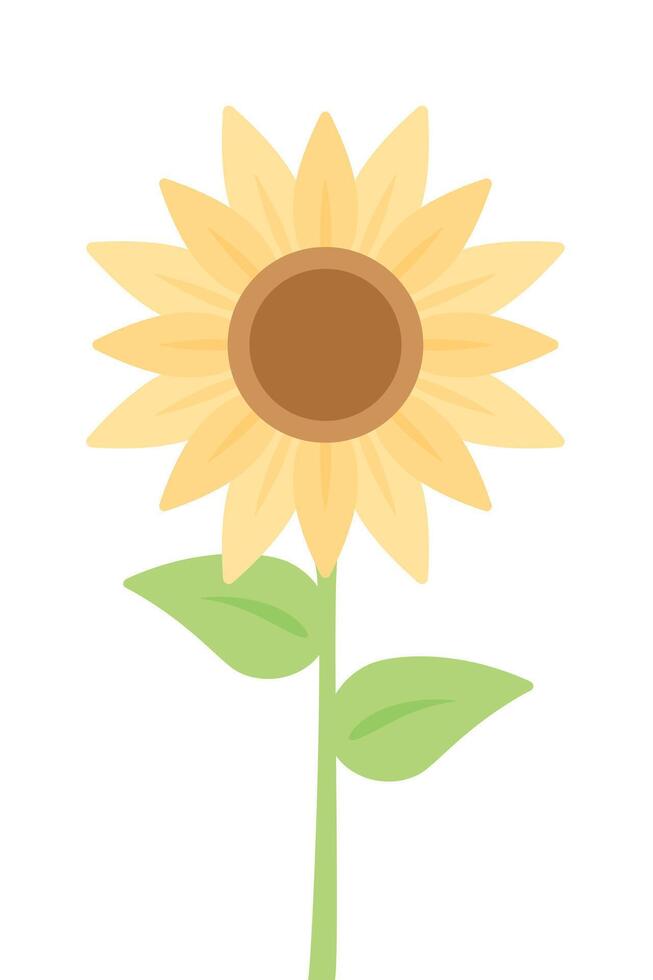 Cute yellow sunflower flat vector illustration