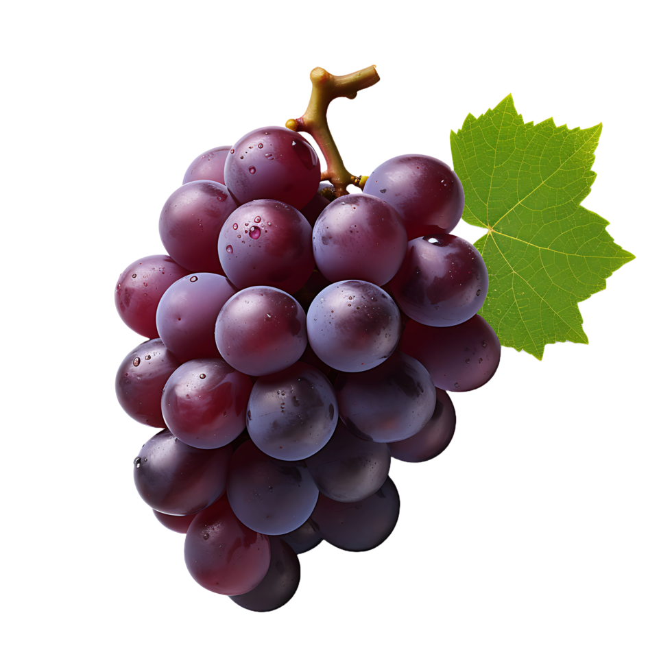 AI generated Isolated Grape on a Clear Canvas png