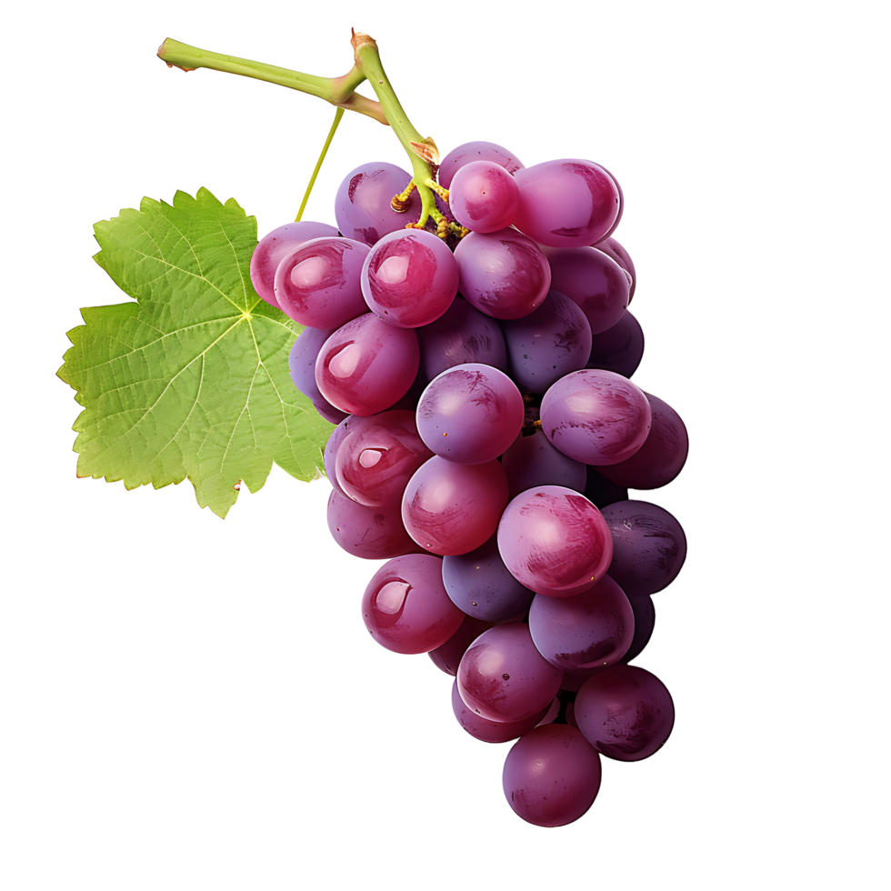 AI generated Clear Cut Freshness  Grape PNG