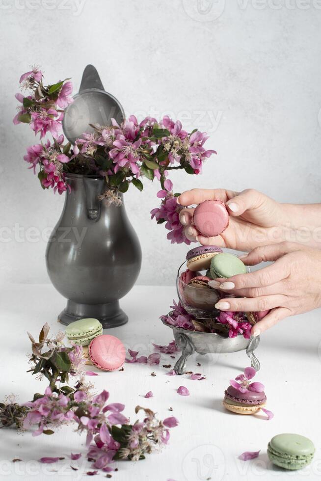spring still life with colored macaroons and pink apple tree flowers in a pewter photo