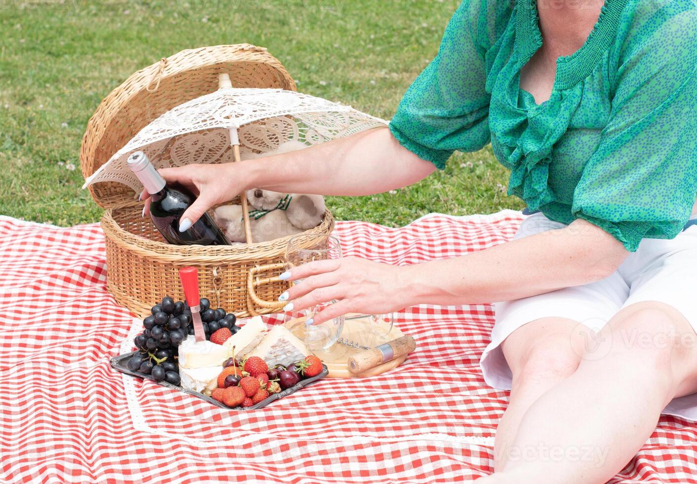 woman in a green blouse sits on a red checkered picnic rug, red wine and chees photo