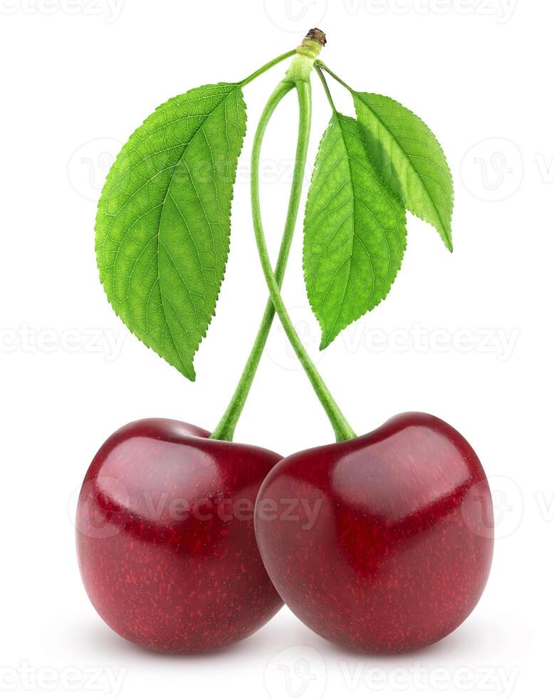 Two fresh cherries on white background photo
