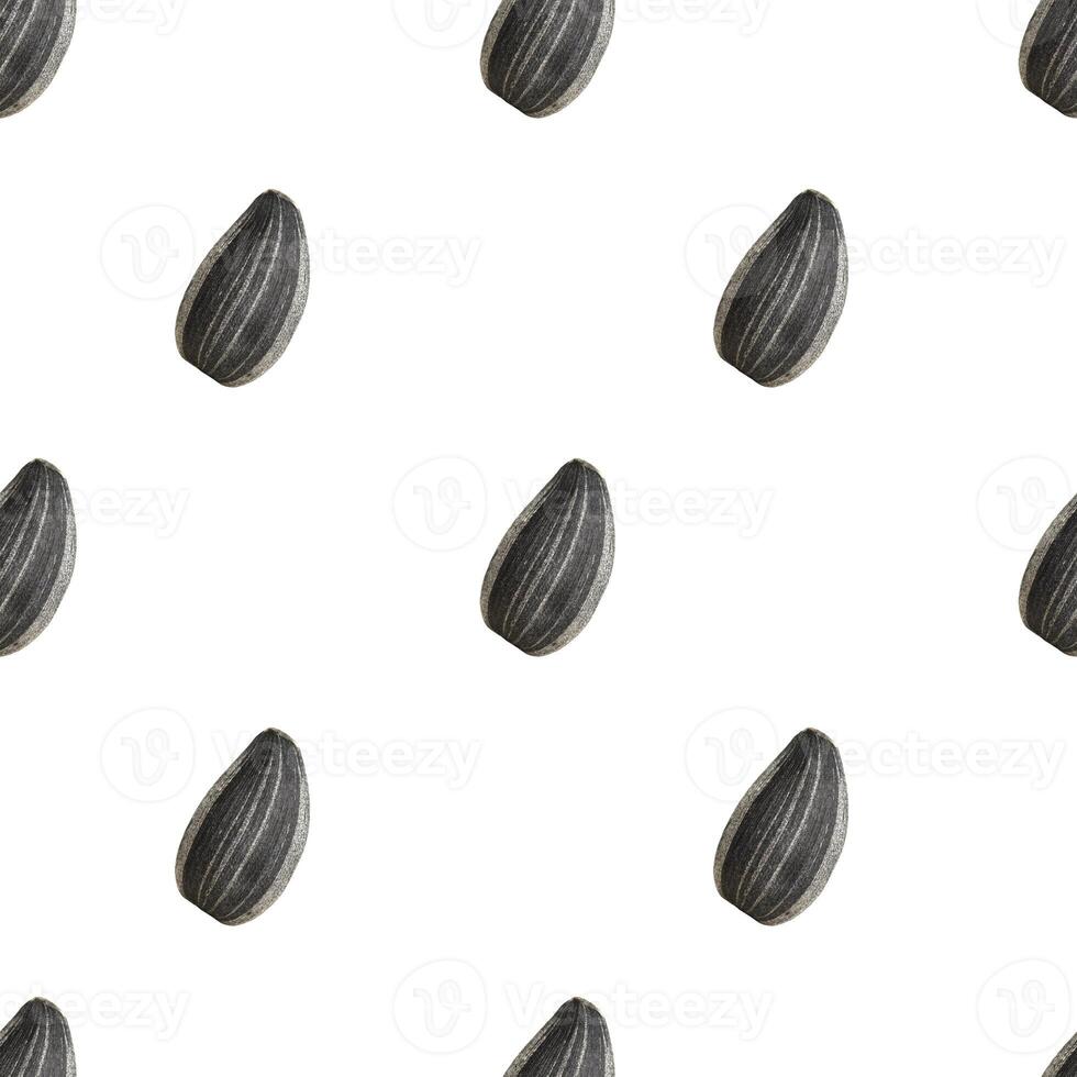 Seamless pattern of black sunflower seeds photo