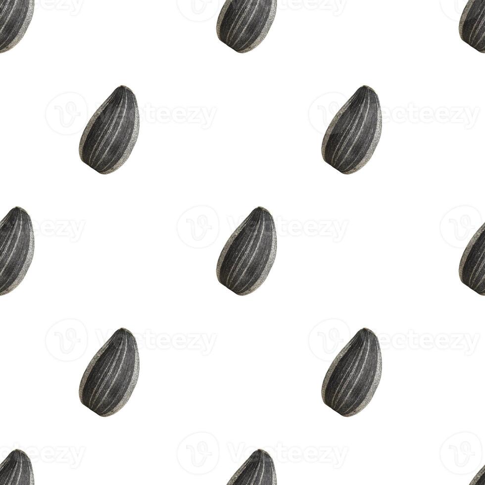 Seamless pattern of black sunflower seeds photo