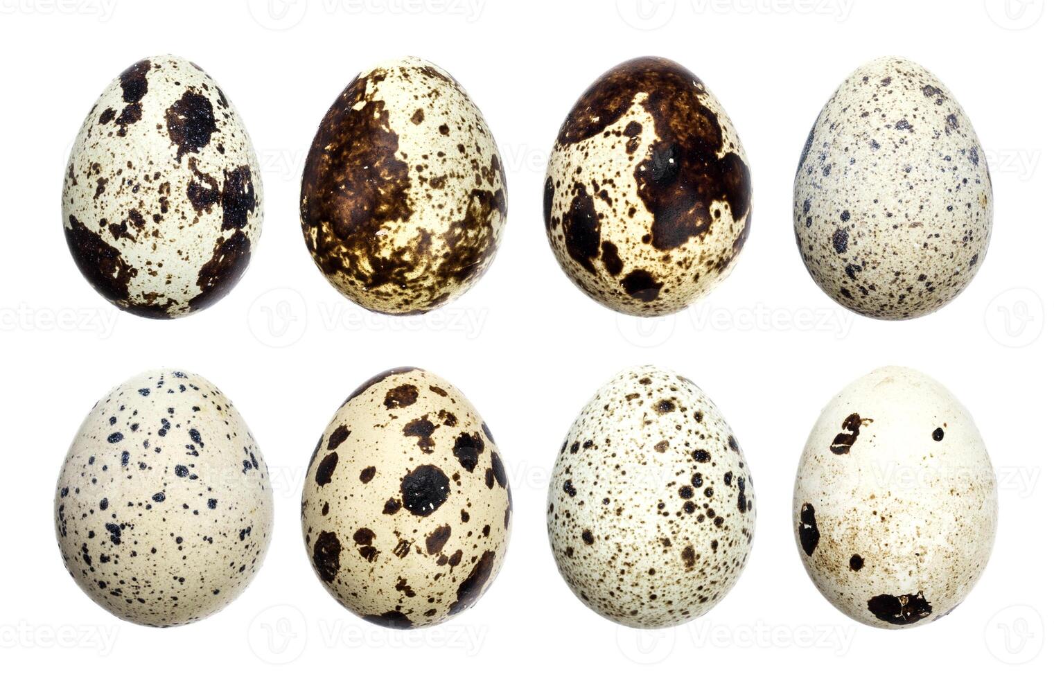 Quail eggs isolated on white background, collection, set photo