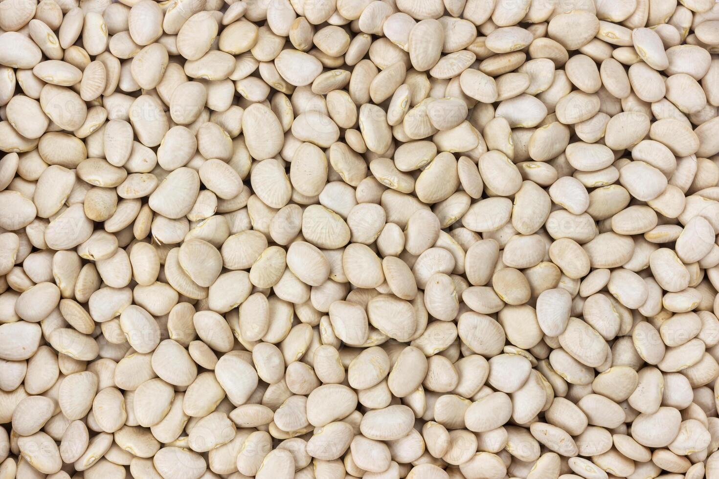 White kidney beans background. Dry legumes texture photo