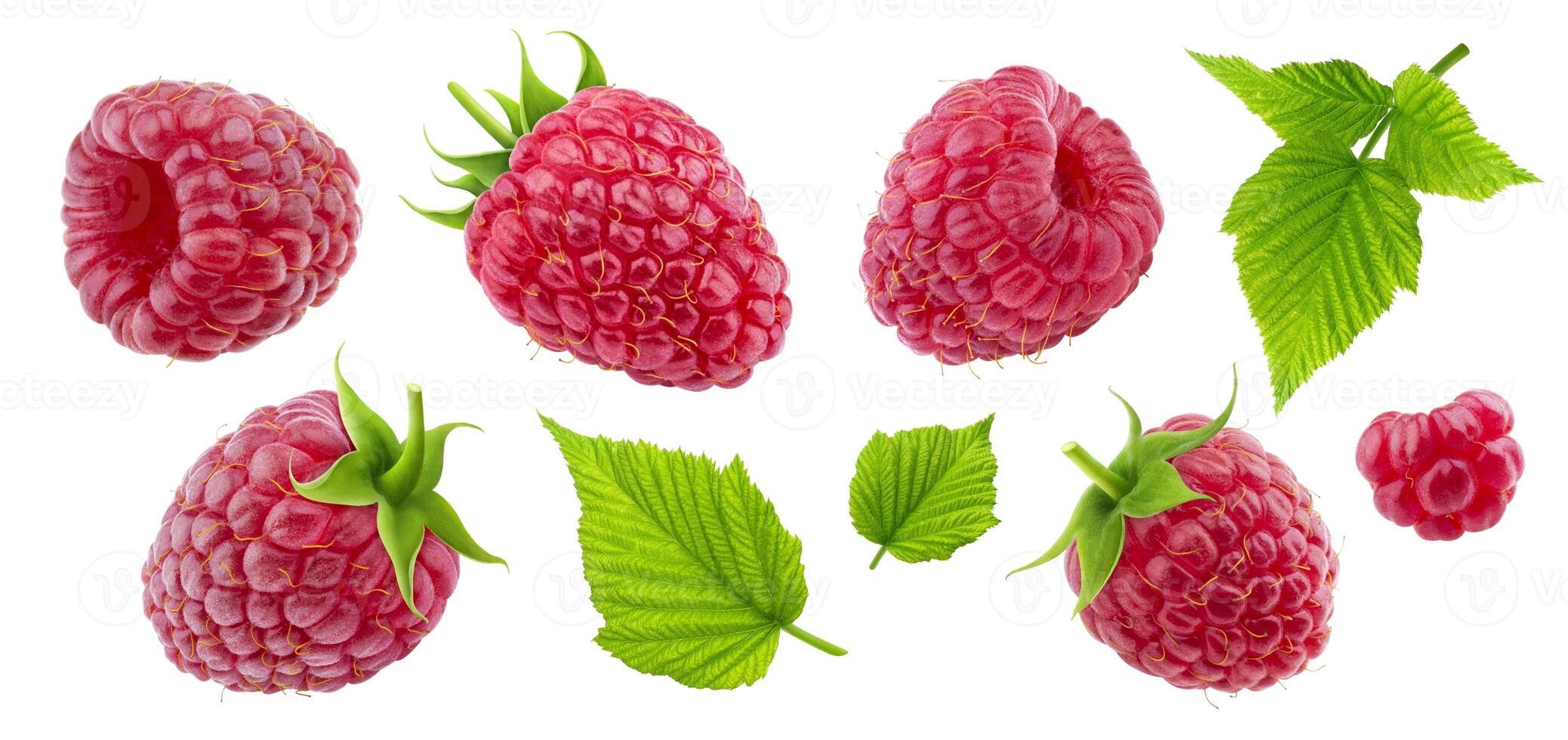Raspberry collection isolated on white background photo