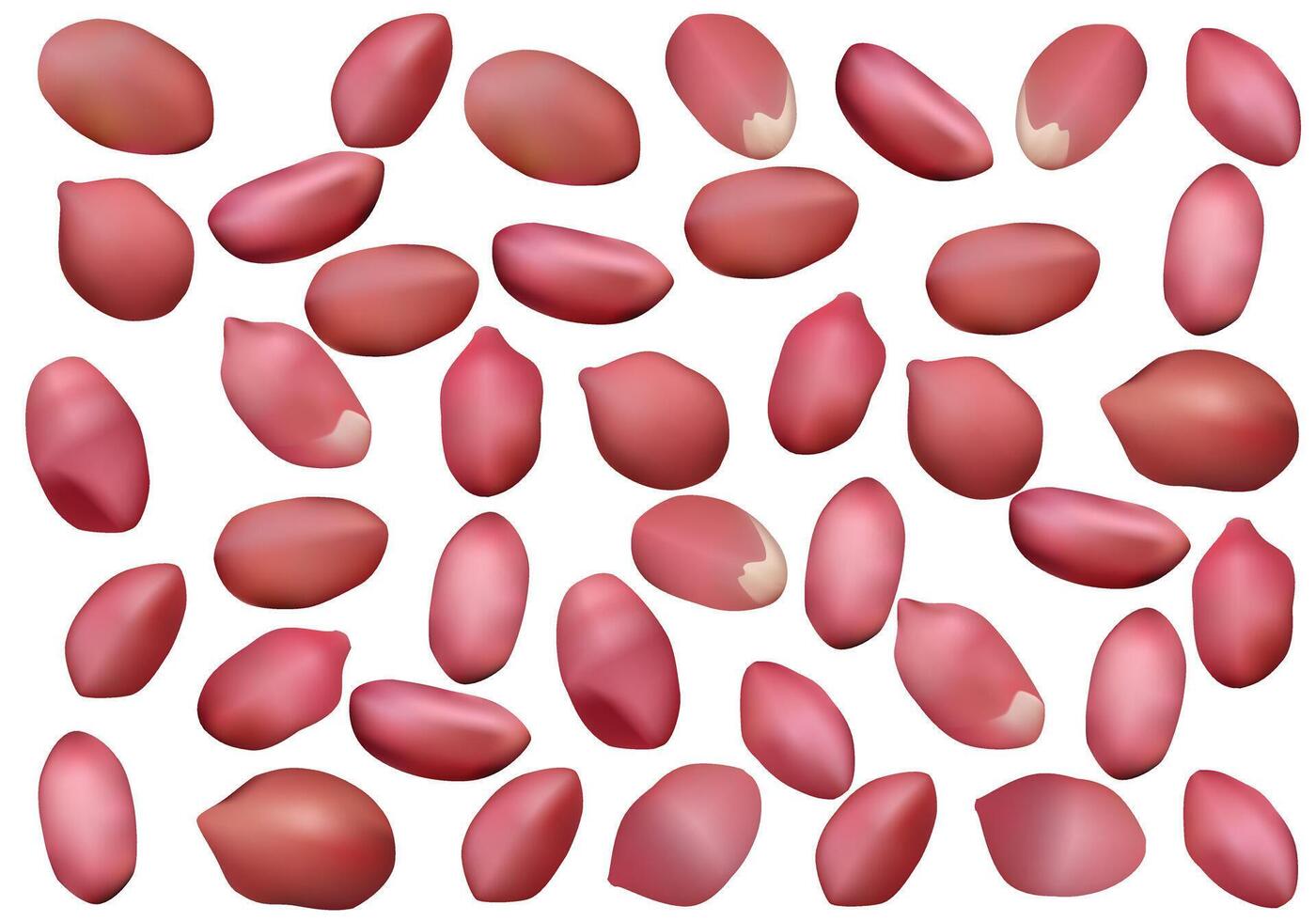 Peanut bean groundnut peeled in red color vector isolated on white background.
