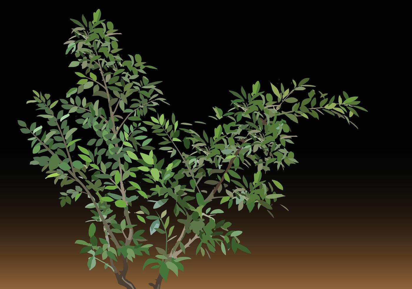 Banyan tree vector green color leaves with isolated on dark brown background.