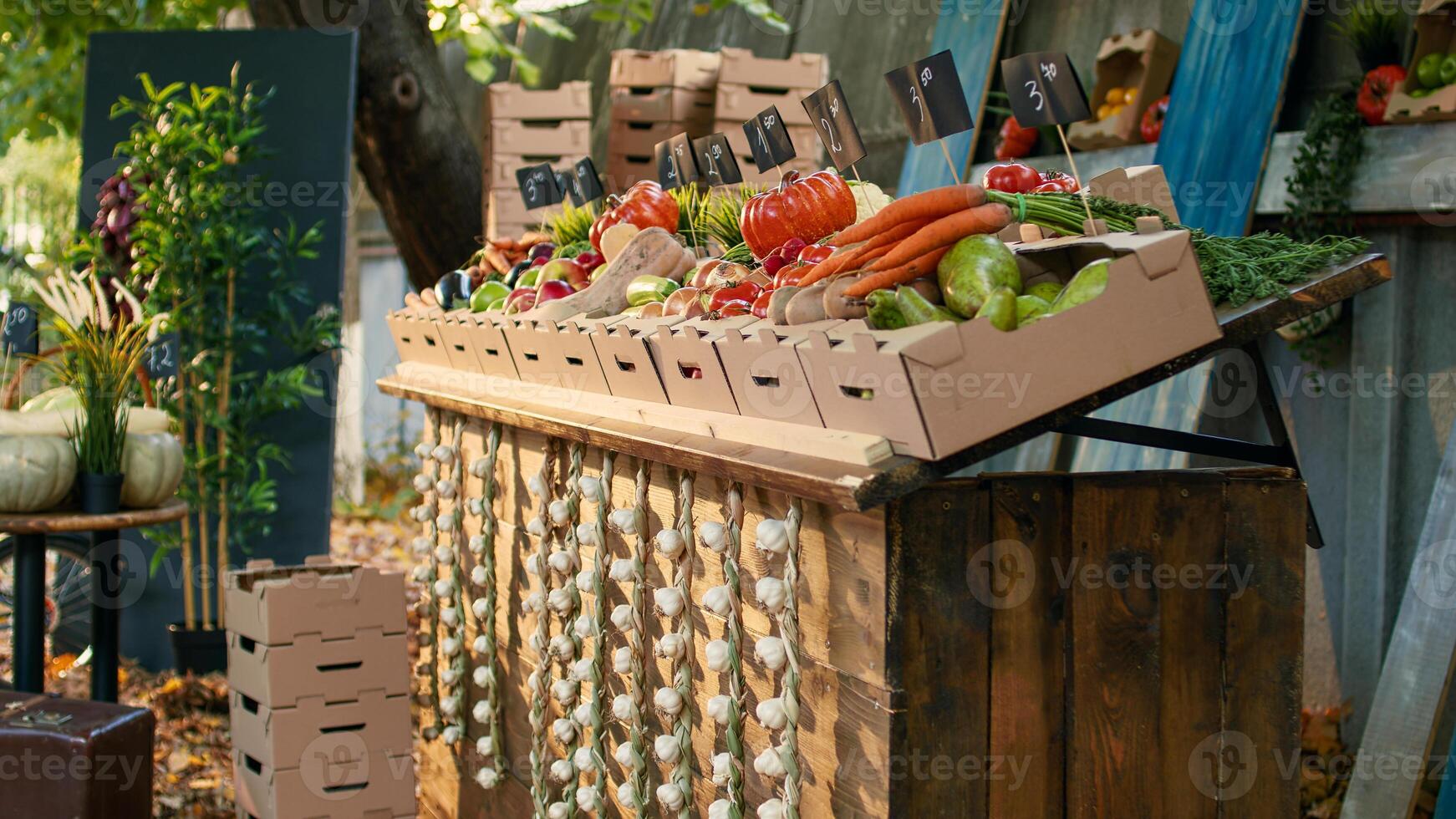 Locally grown farming products at empty farmers market stand with organic agricultural farming counter. Various colorful fresh bio fruits and vegetables lying on stall at harvest festival. photo