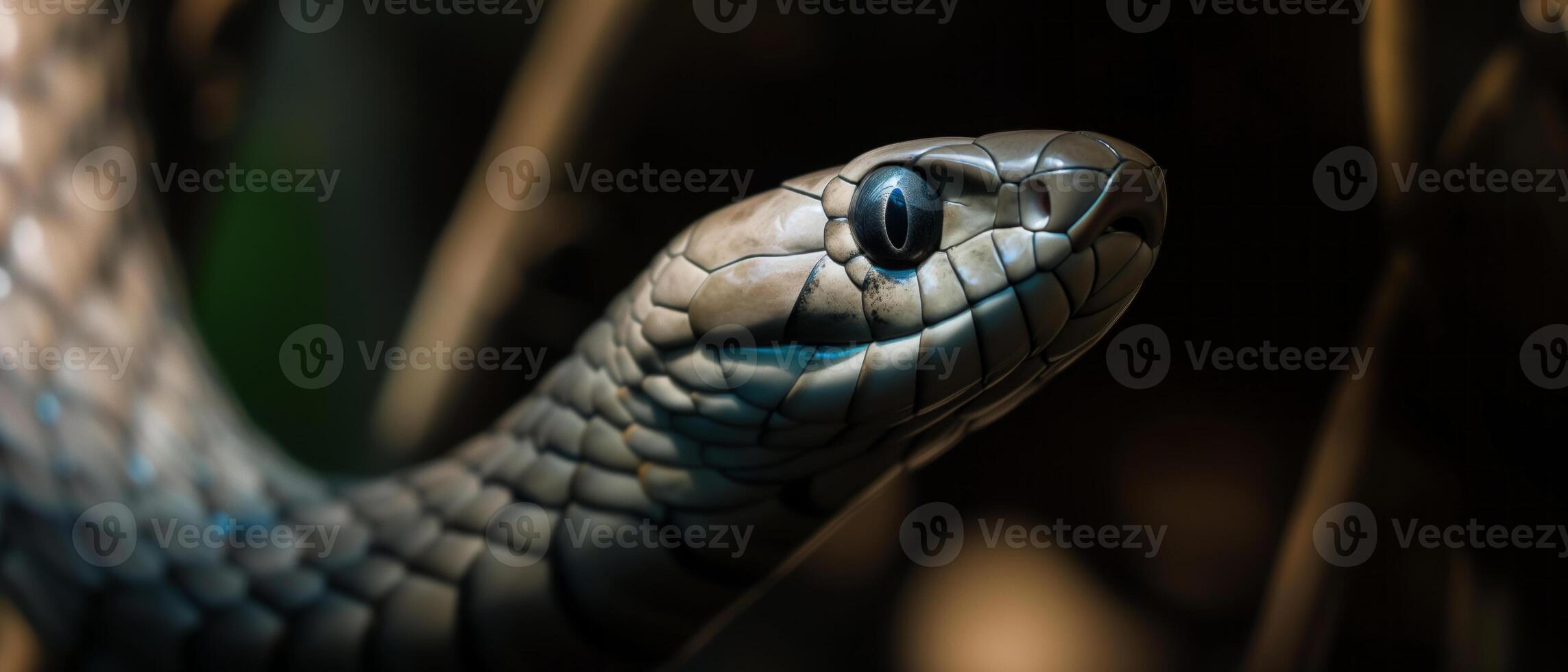 AI generated Extreme close up of black mamba snake head photo