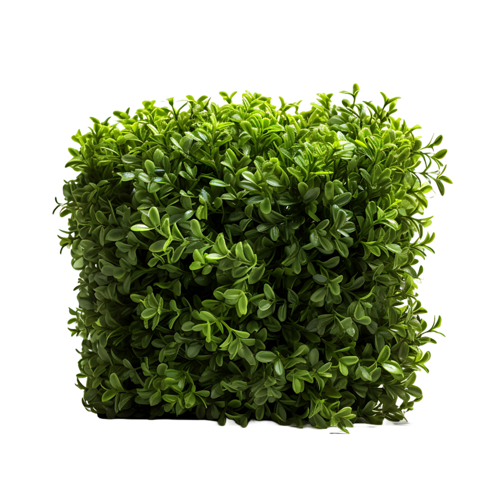 AI generated Greenery Unveiled, Transparent Background Featuring Bush Element png