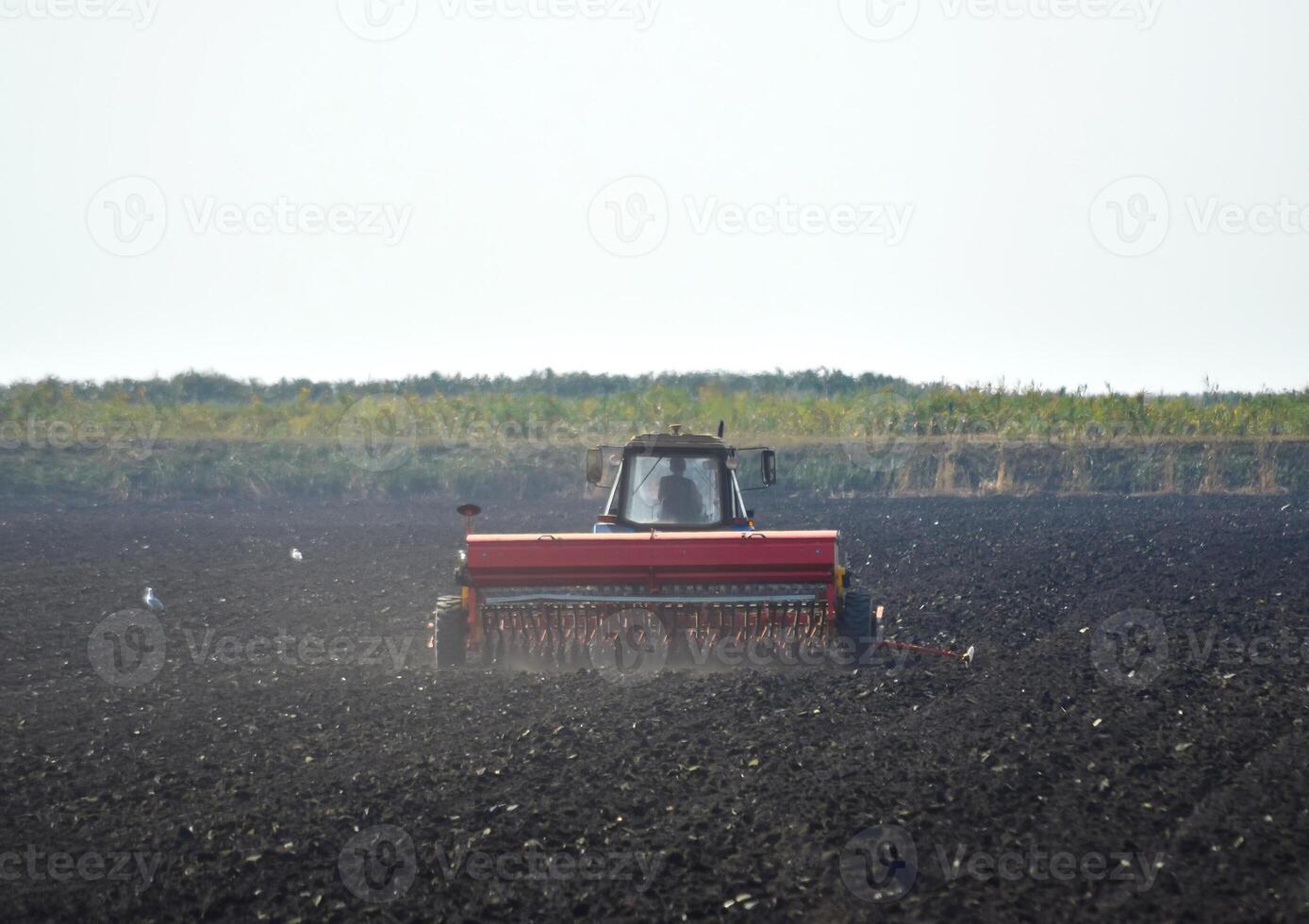 Tractor with seeder in the field photo