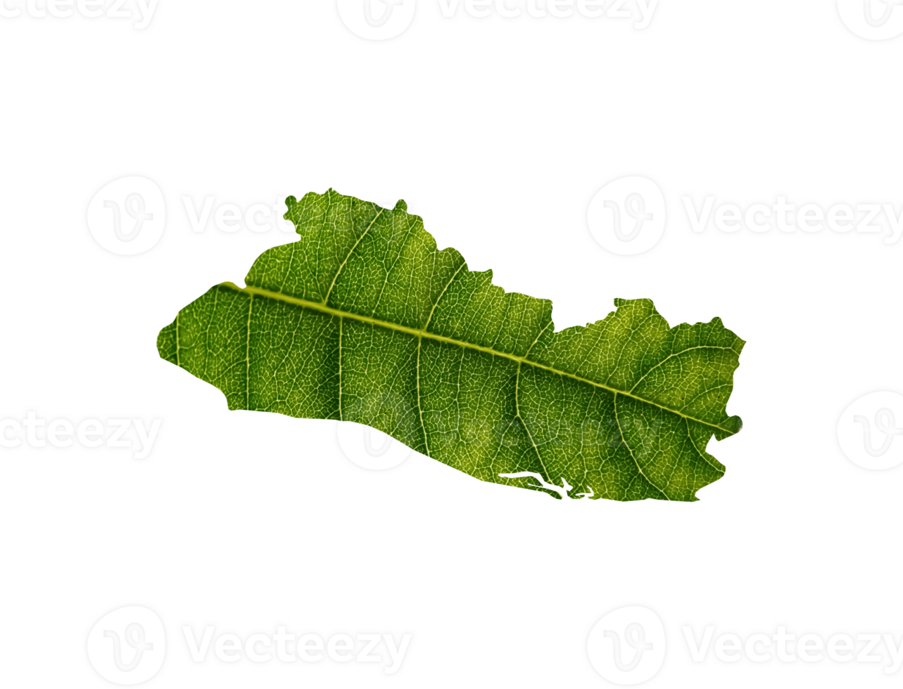 El Salvador map made of green leaves ecology concept png