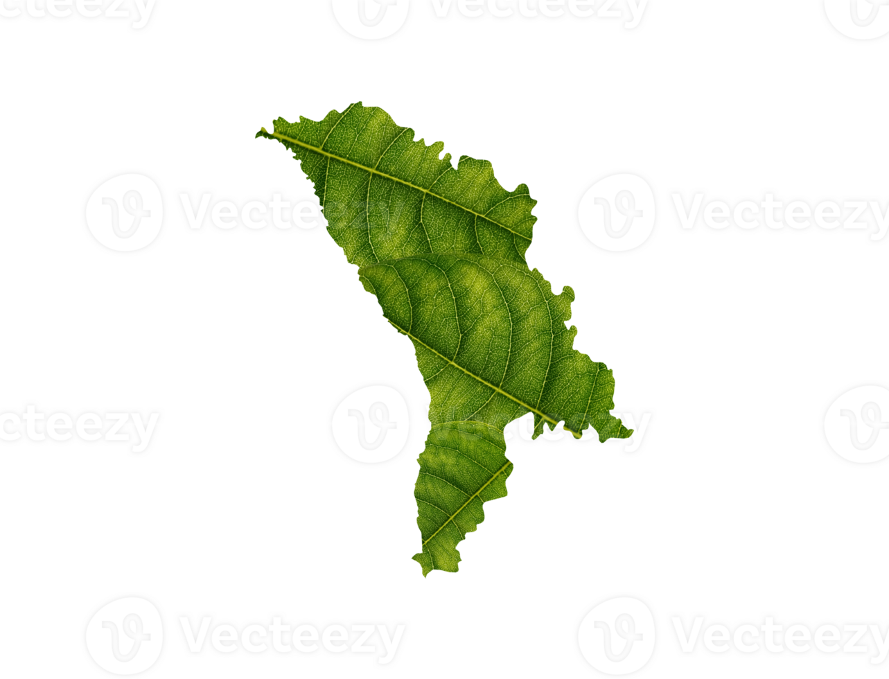 moldova carta geografica fatto di verde le foglie ecologia concetto png