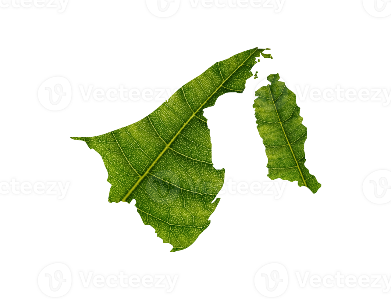 Brunei map made of green leaves ecology concept png