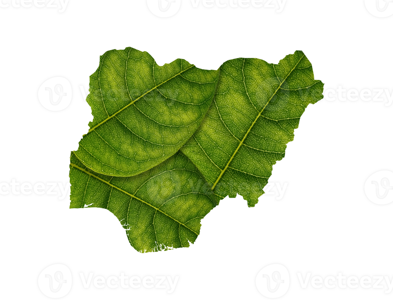 Nigeria map made of green leaves ecology concept png