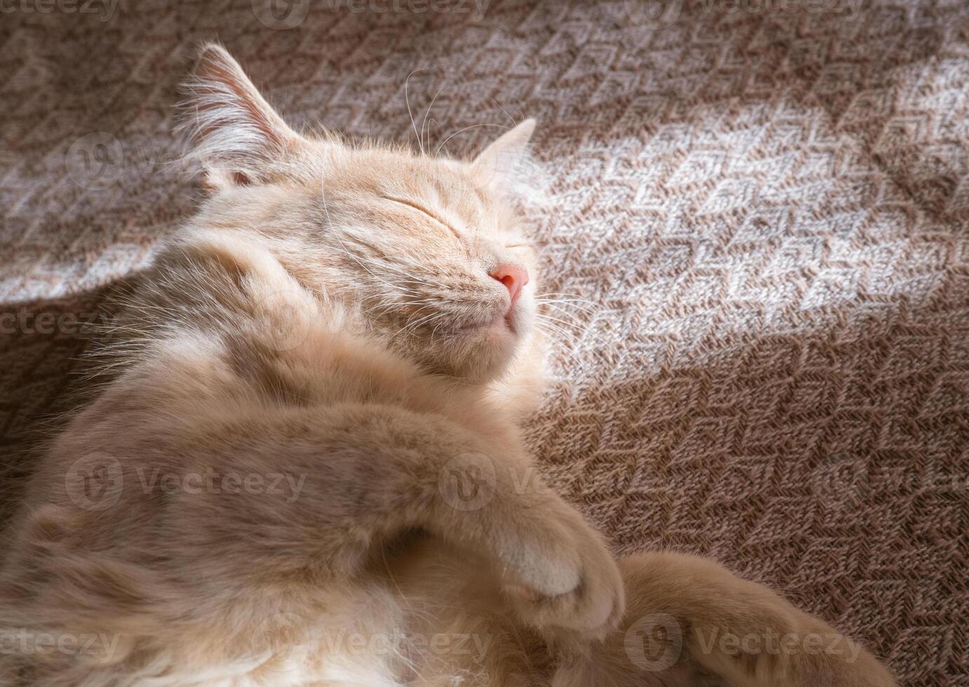 Red cat sleeps on a duvan in the sun's rays of light. the concept of a cozy home and vacation, a cute ginger or ginger kitten. photo