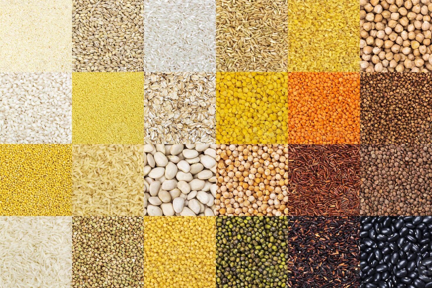 Different grains backgrounds photo