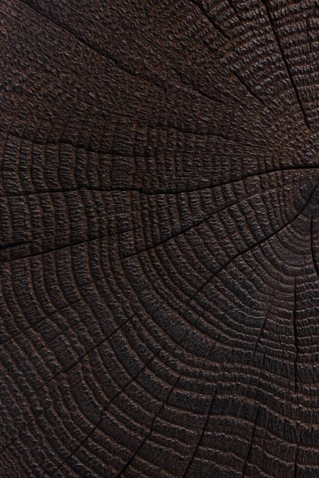 Burnt wood texture. Dark wooden background. Close up photo