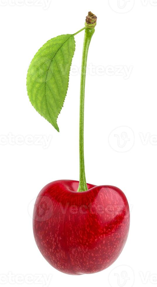 Cherry isolated on white background photo