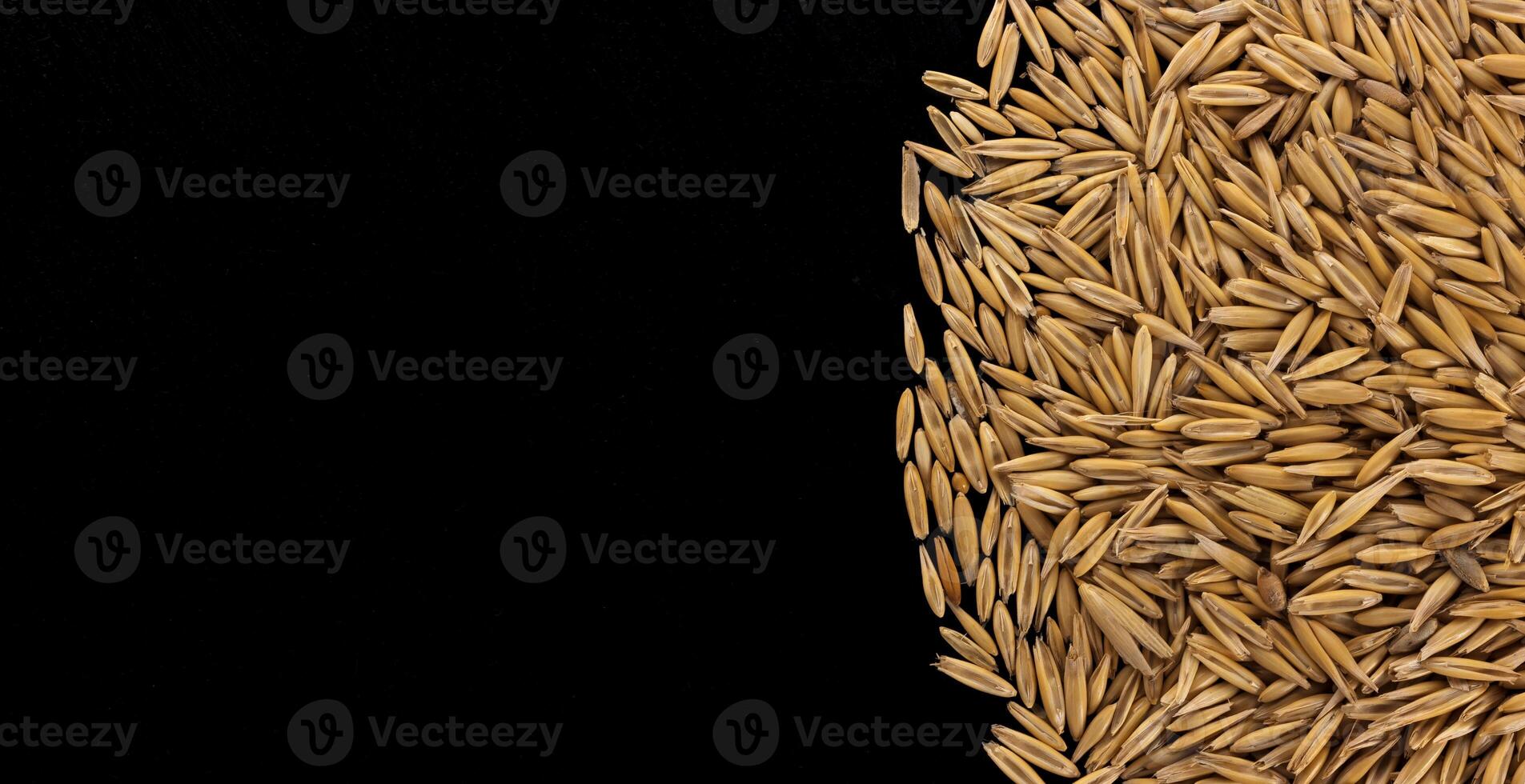 Pile of oat seeds on black background, copy space, top view photo